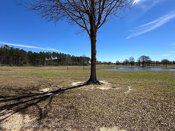 3rd image of Northern Exposure Rd Lot 84