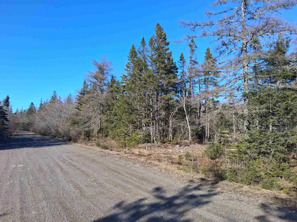 0 Goose Harbour Rd, Goose Harbour Lake, NS B0E 2G0