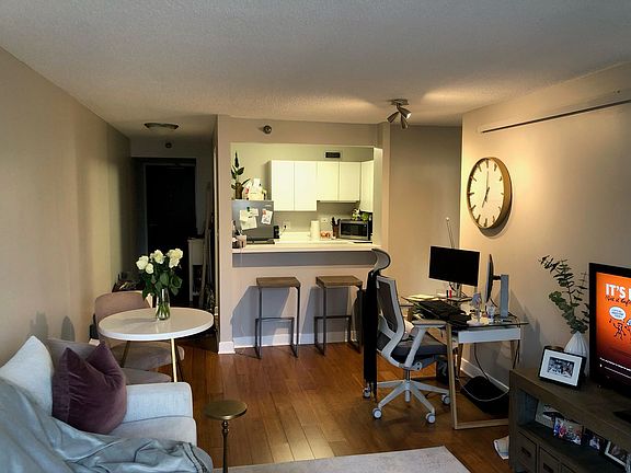 3rd image of 440 N Wabash Ave APT 4207