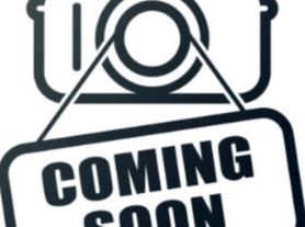 808 Springfield Ave, Urbana, IL