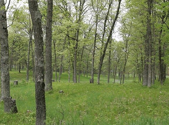 2nd image of 2034-2036 Cree Dr