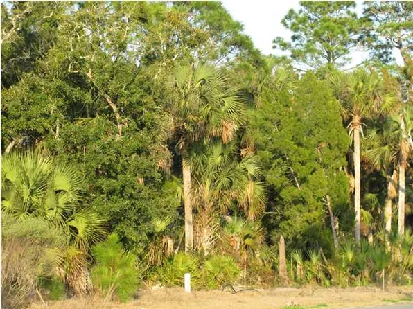 Sea Lavender Ln, Port Saint Joe, FL 32456