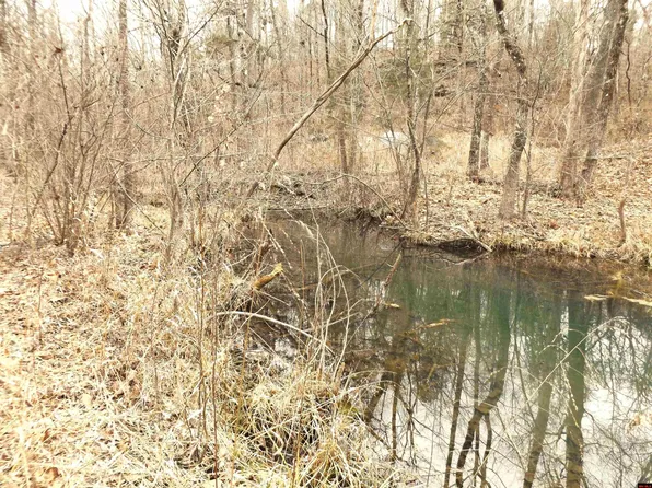 001-00217-002 Tower Ln, Calico Rock, AR 72519