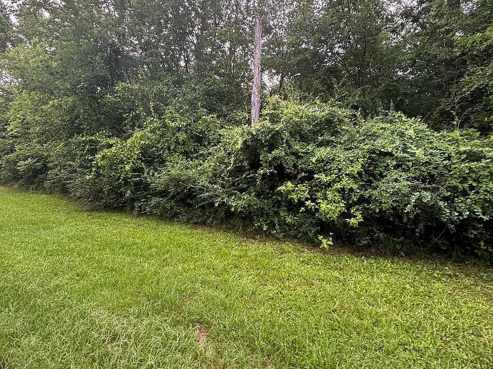 2nd image of 0 Private Road 4326