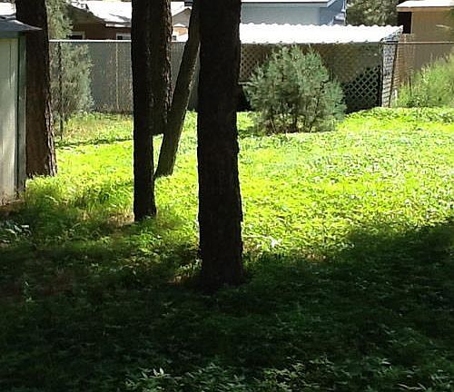 3rd image of 527 N 6th Ave