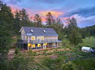 1233 County Road 68, Nederland, CO 80466