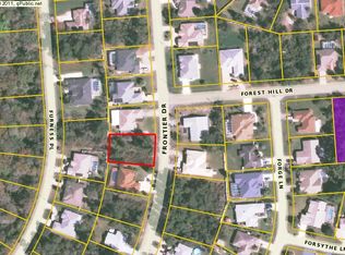 61 Frontier Dr, Palm Coast, FL 32137
