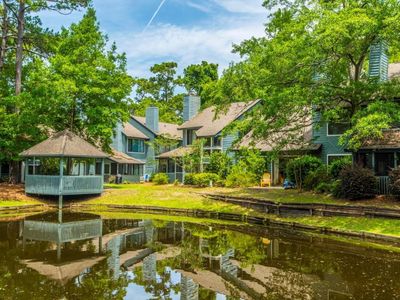 1137 Silent Harbor Ct, Mount Pleasant, SC, 29464