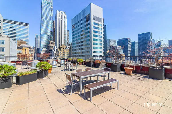 Rented by Triplemint | media 16