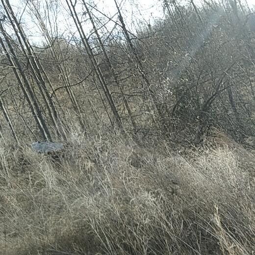 2nd image of 260 Three Oaks Rd