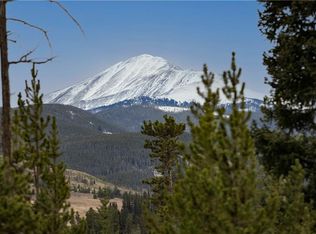 537 Idlewild Dr, Dillon, CO 80435