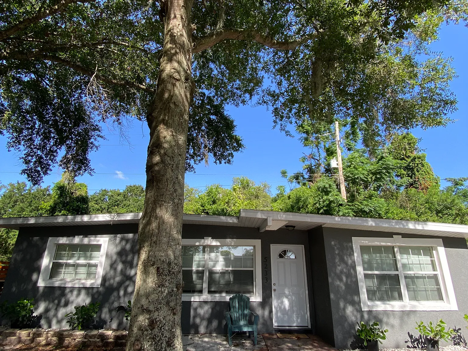 2 bed, 900 sqft, $1,600 — Photo 1
