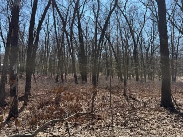 Sand Rd, Pt Austin, MI 48467