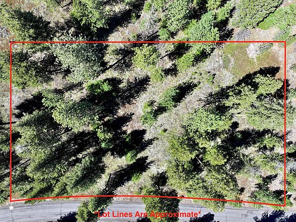5th image of L4-B29 Sorrel Dr