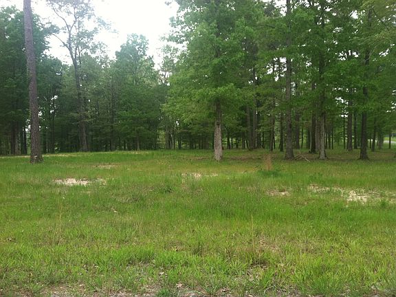 4th image of Twisted Oak Lot 14