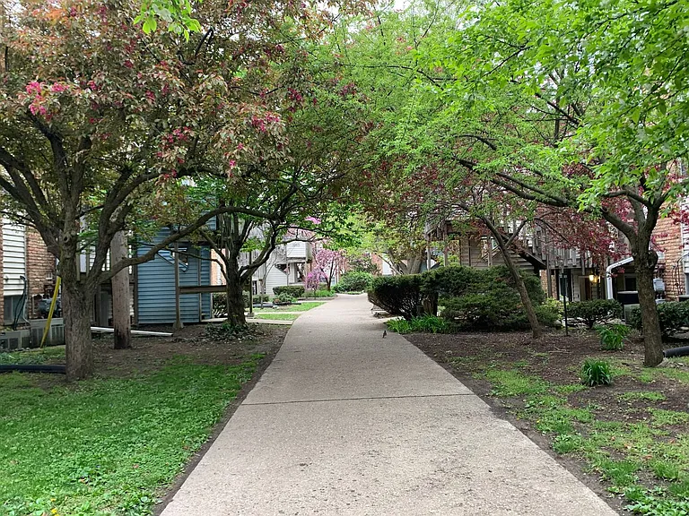 1013 Francis Dr — Photo 3
