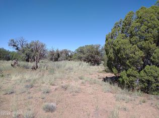 4318 E Pinto Rd, Snowflake, AZ 85937