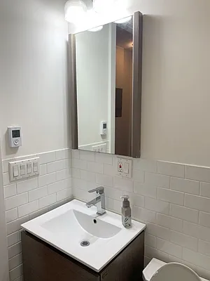 Rented by NY Living Solutions | media 23