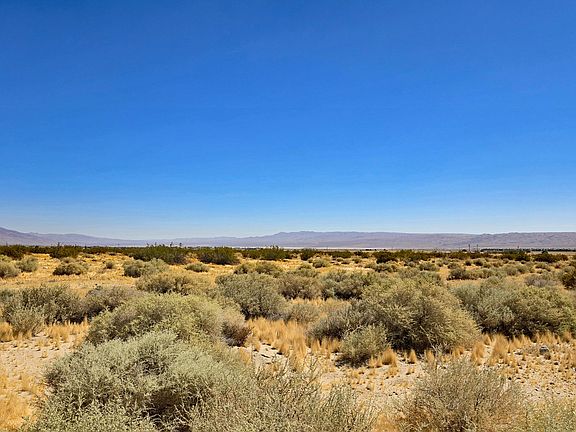4th image of Cholla Rd