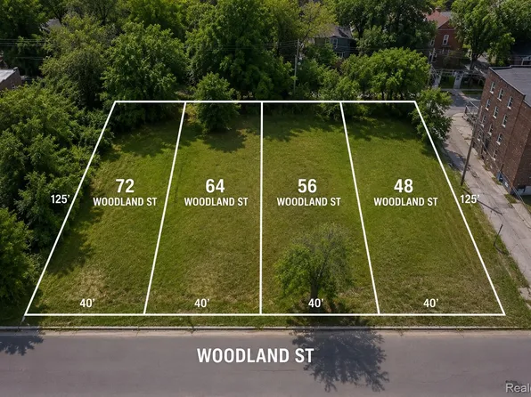 48 Woodland St, Detroit, MI 48202