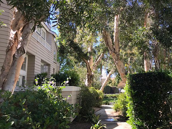 4th image of 4902 Thille St