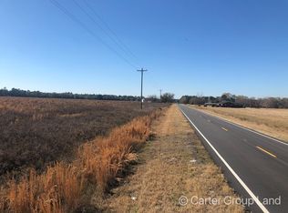 4493 Altamaha School Rd TRACT 1, Baxley, GA 31513