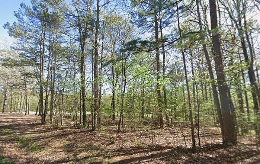 2nd image of Castle Ridge Hts #112