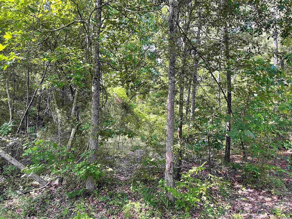 2nd image of 13517 Chambers Rd