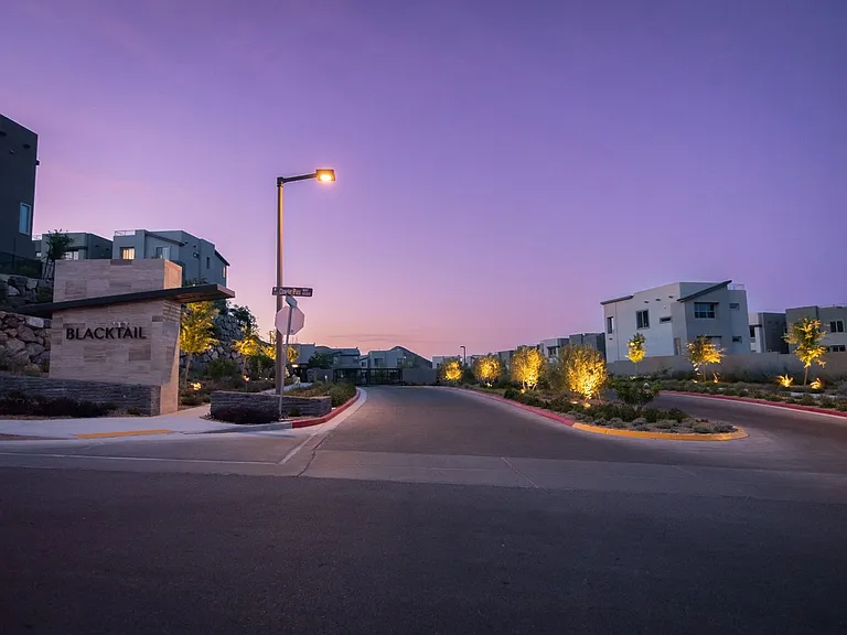 11629 Gentle Birdsong Ave — Photo 14