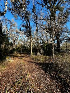 0 NE 550th St, Old Town, FL, 32680