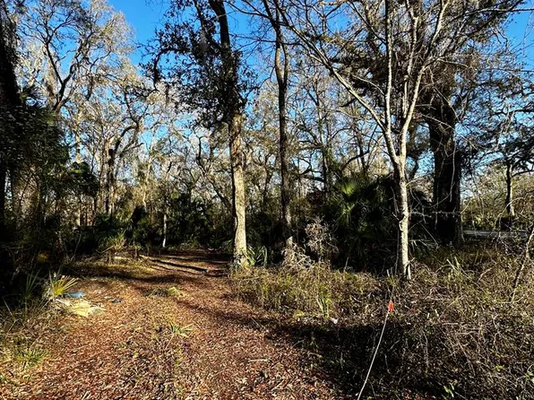 0 NE 550th St, Old Town, FL 32680