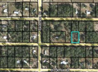 6312 Bowdoin Ave, Keystone Heights, FL 32656