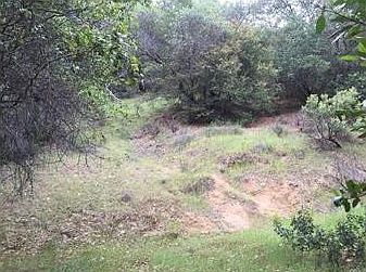 5th image of Ponderosa Way