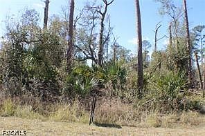 1st image of 137 Brig Cir E