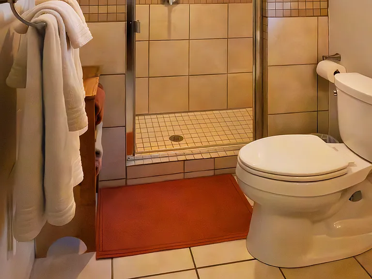 McKinney bathroom