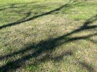 223 Atha St, Monroe, GA 30655