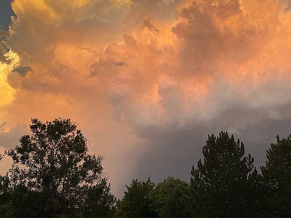Sunset in the park