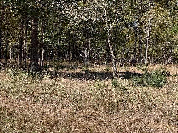 5th image of 272 Kolekole Ln