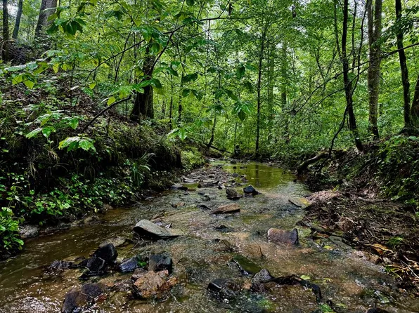 0 Highway 136 W, Talking Rock, GA 30175