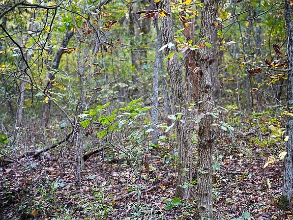 3rd image of 21395 S 725th Rd