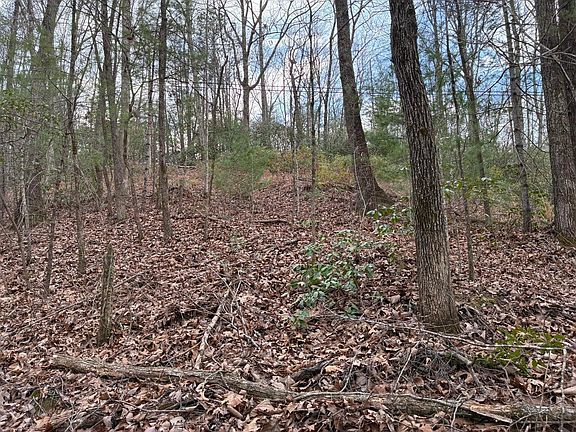 4th image of 0 Chestnut Mountain Rd