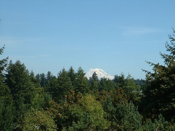 4th image of 1910 Evergreen Park Dr SW APT 403