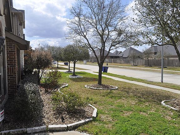 Front Step & landscaping