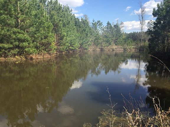 One of Two Ponds on Property