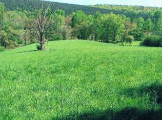 1045 Antioch Church Rd, Talking Rock, GA 30175