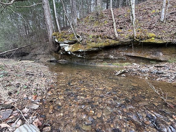 What a pretty blue line stream