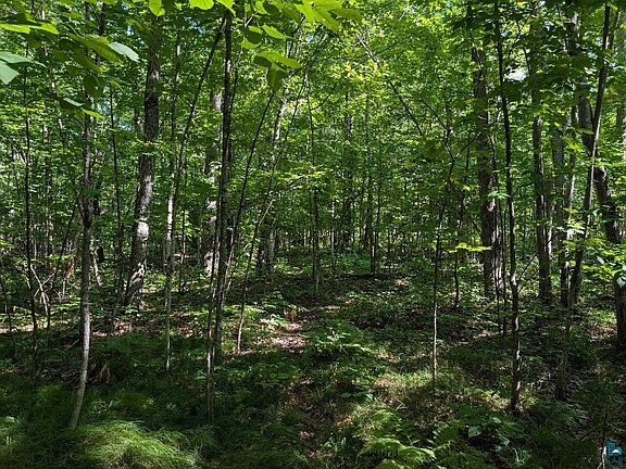 5th image of xxx Cherryville Rd