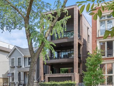 1057 N Wood St APT 2, Chicago, IL, 60622