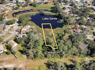 3519 Hedgley Pl, Orlando, FL 32818