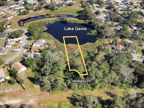 3519 Hedgley Pl, Orlando, FL 32818